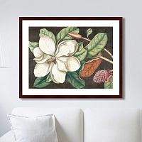 картина: beauty bloom №1, 1732г. во Владивостоке