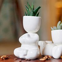 набор для выращивания eco йог во Владивостоке