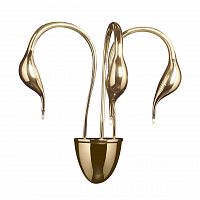 бра lightstar cigno collo 751632 во Владивостоке