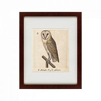 картина: one owl, 1560 во Владивостоке