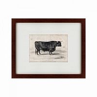 картина: a west highland bull, 1840 во Владивостоке
