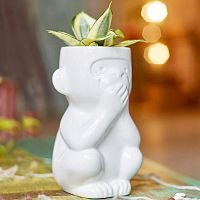 горшок для растений eco молчун во Владивостоке