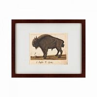 картина: bison, 1560 во Владивостоке