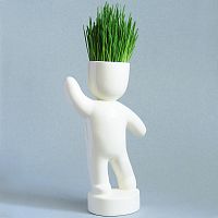 набор для выращивания eco победитель во Владивостоке