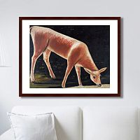 картина: roe deer drinking from a stream, 1901г. во Владивостоке