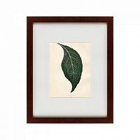 картина: the leaf, 1871 во Владивостоке