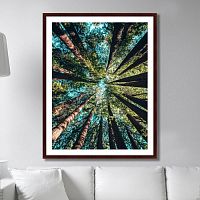 картина: deep forest во Владивостоке