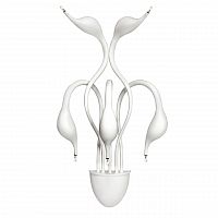 бра lightstar cigno collo wt 751656 во Владивостоке