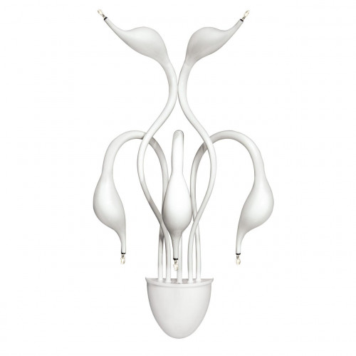 бра lightstar cigno collo wt 751656 во Владивостоке