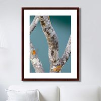 картина: trees on the galapagos islands, ecuador no3 во Владивостоке