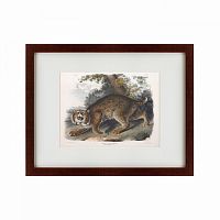 картина: bobcat, 1839 во Владивостоке