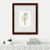 картина: pear tree flowers (pyrus calleryana), 1830 во Владивостоке