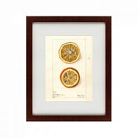 картина: watercolor collection, drawing №5, 1910 во Владивостоке