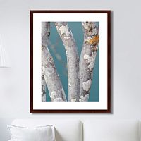 картина: trees on the galapagos islands, ecuador no1 во Владивостоке