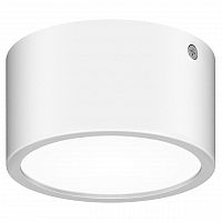 уличный светодиодный светильник lightstar zolla 380164 во Владивостоке