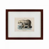 картина: white polar bear on an ice, 1830 во Владивостоке