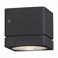 уличный настенный светодиодный светильник st luce coctobus sl563.401.01 во Владивостоке