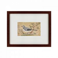 картина: the bird, персия, 1634 во Владивостоке