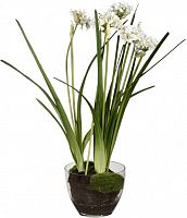 декор allium во Владивостоке