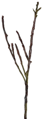 декор dry branches во Владивостоке