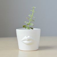 набор для выращивания eco мини-кашпо «губы» во Владивостоке