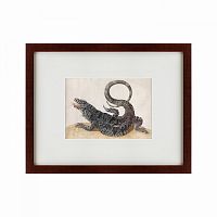 картина: black tegu lizard, 1700 во Владивостоке