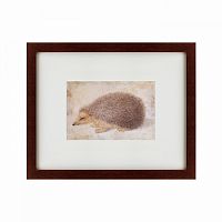 картина: a hedgehog, 1584 во Владивостоке