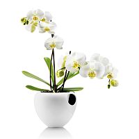 горшок для орхидеи orchid pot белый во Владивостоке