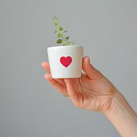набор для выращивания eco мини-кашпо «сердце» во Владивостоке