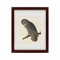 картина: great gray owl, 1834 во Владивостоке