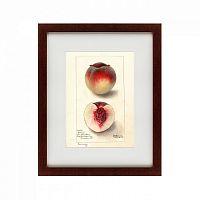 картина: watercolor collection, drawing №4, 1905 во Владивостоке