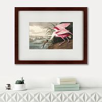 картина: roseate spoonbill, 1827 во Владивостоке