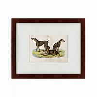 картина: three african bloodhounds, 1830 во Владивостоке