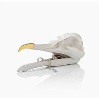 шкатулка для украшений bird skull (белый) во Владивостоке