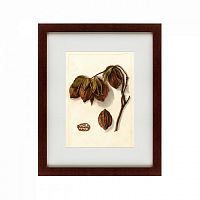 картина: watercolor collection, drawing №3, 1909 во Владивостоке