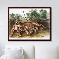 картина: the cougar, 1850г. во Владивостоке