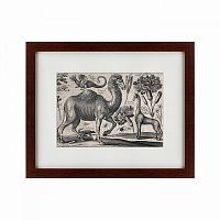 картина: a camel, 1670 во Владивостоке