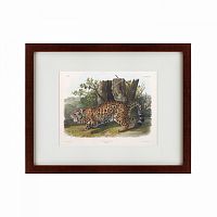 картина: jaguar, 1841 во Владивостоке