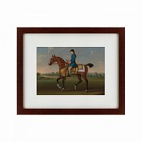 картина: bay racehorse with jockey up, 1730 во Владивостоке