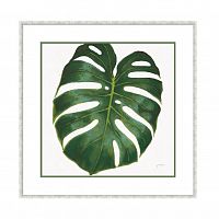 постер monstera зеленый во Владивостоке