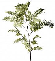 декор fl12056 (giant fern) во Владивостоке