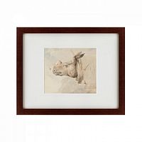 картина: the head of a rhinoceros, 1889 во Владивостоке