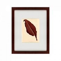 картина: the dark red leaf, 1881 во Владивостоке