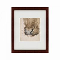 картина: muzzle of an ox seen from the front, 1527 во Владивостоке