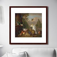 картина: a cockatoo, a parrot, a jay and other birds, 1715г. во Владивостоке