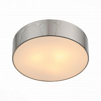потолочный светильник st luce bagno sl468.502.03 во Владивостоке