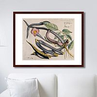 картина: exotic plants of the world №12, 1815г. во Владивостоке