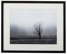 постер с паспарту в раме fog & tree во Владивостоке