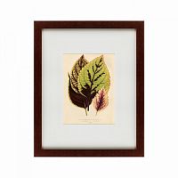 картина: les plantes a feuillage color, 1869 во Владивостоке