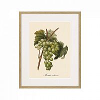 картина juicy fruit lithography №13-1, 1870 г., 42х52 см во Владивостоке